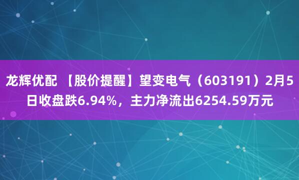 龙辉优配 【股价提醒】望变电气（603191）2月5日收盘跌6.94%，主力净流出6254.59万元