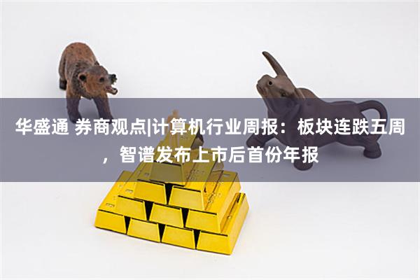 华盛通 券商观点|计算机行业周报：板块连跌五周，智谱发布上市后首份年报