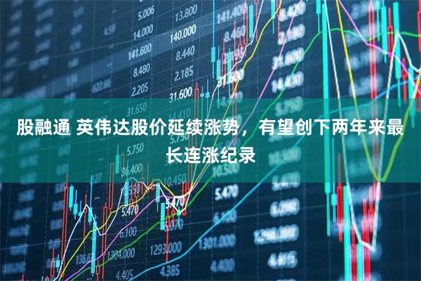 股融通 英伟达股价延续涨势，有望创下两年来最长连涨纪录